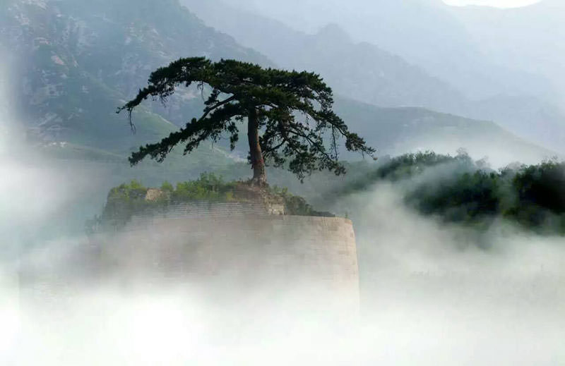 shanhaiguan-great-wall-10